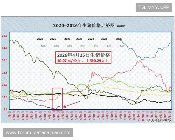 六合彩开奖直播全程实时跟踪分析与最新中奖数据一览