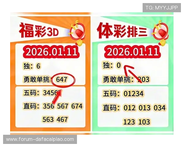 精准数据解析助力彩票号码走势预测与选号策略研究